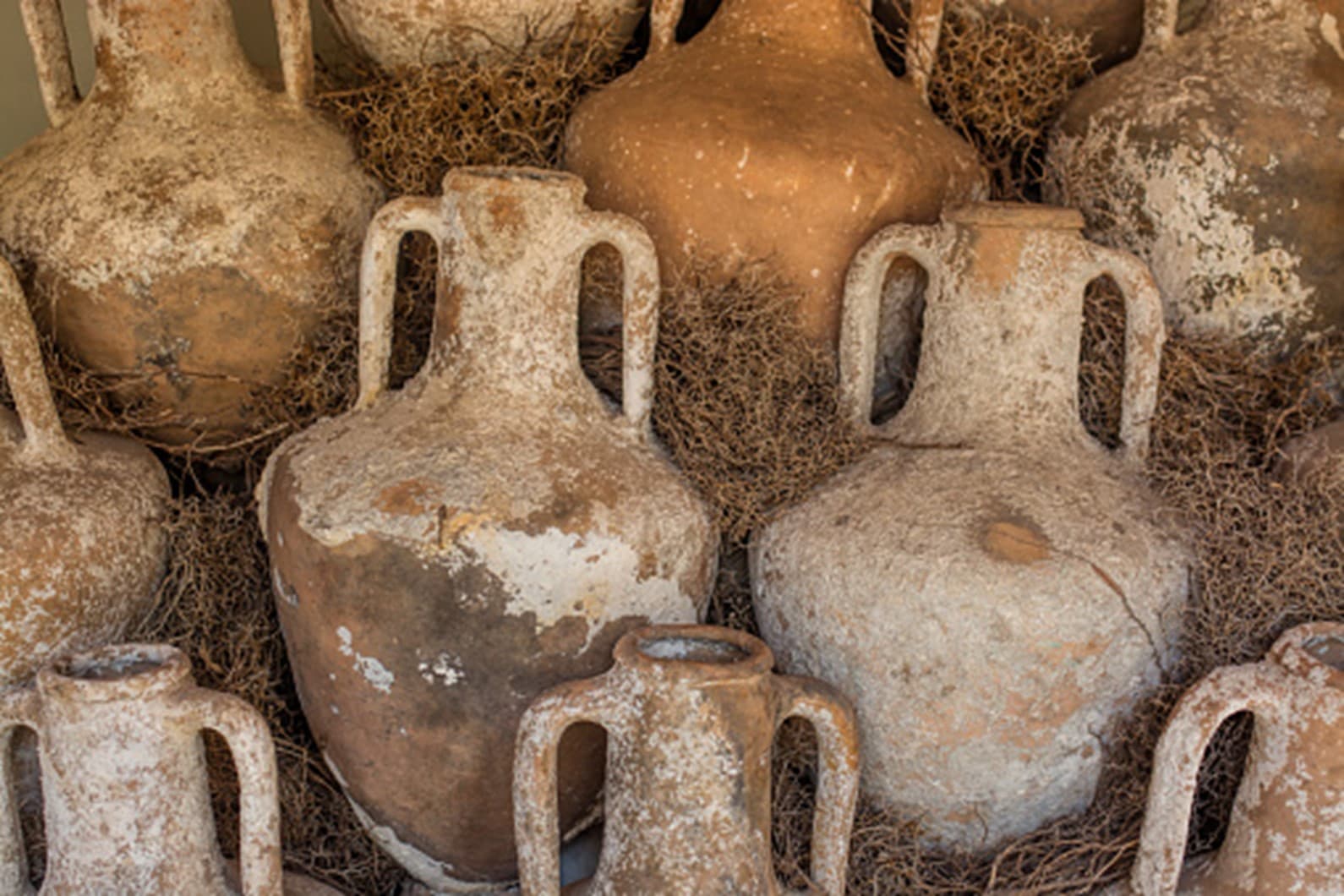 Amphorae