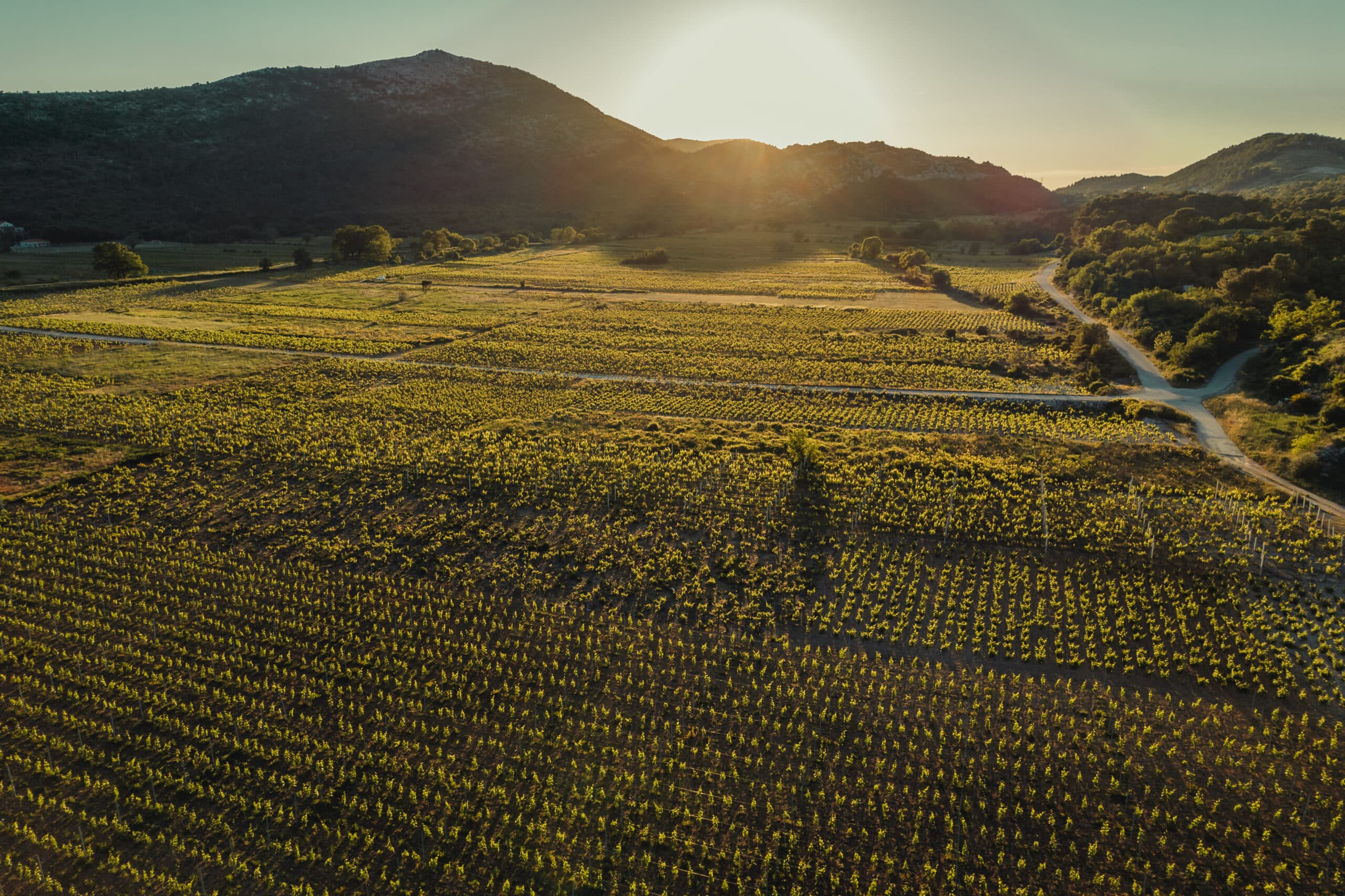 Hero image Madirazza Winery