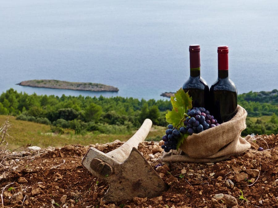 Pelješac: The Jewel of the Adriatic among the top 10 wine destinations in Central and Eastern Europe.